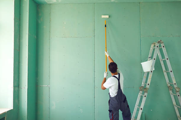 Best Mold Removal for HVAC Installations  in Portland, MI