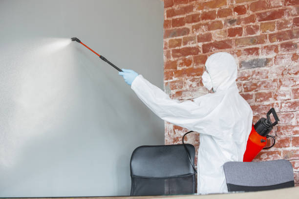 Mold Documentation for Insurance Claims in Portland, MI