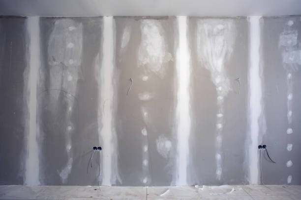 Best Commercial Mold Inspection  in Portland, MI